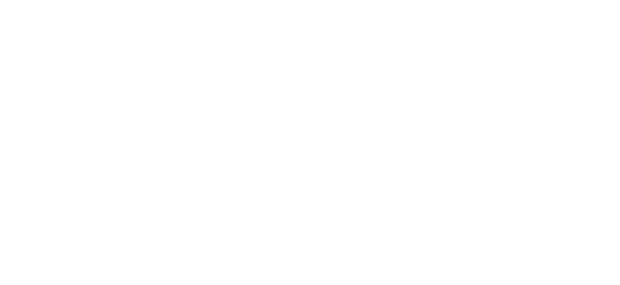 Evolution Gaming logo